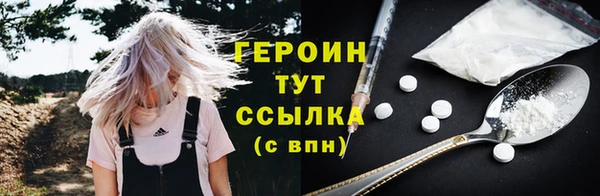 соль ск Дмитриев
