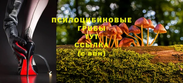 эйфоретик Дмитровск