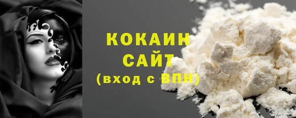 соль ск Дмитриев