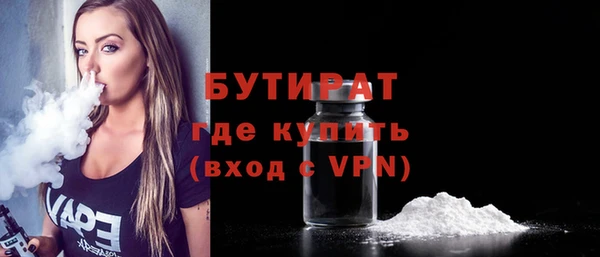 соль ск Дмитриев