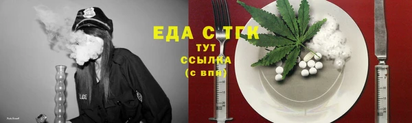 соль ск Дмитриев