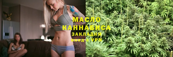 соль ск Дмитриев