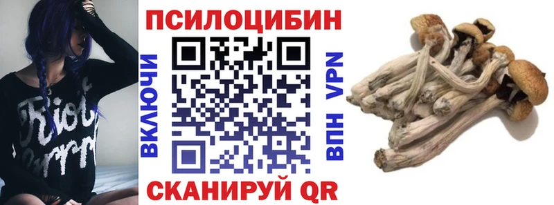 Галлюциногенные грибы GOLDEN TEACHER Купить закладки Спас-Клепики