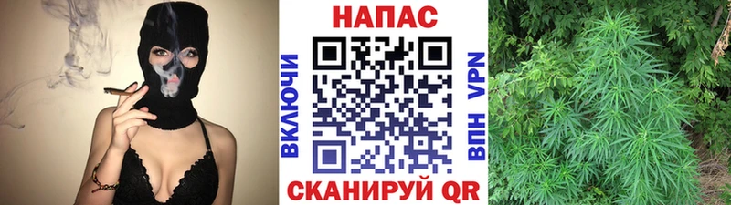 Бошки Шишки тримм  Купить закладки  Спас-Клепики 
